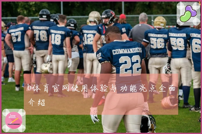 b体育官网使用体验与功能亮点全面介绍