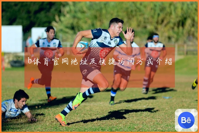 b体育官网地址及快捷访问方式介绍