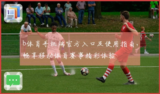 b体育手机端官方入口及使用指南，畅享移动体育赛事精彩体验