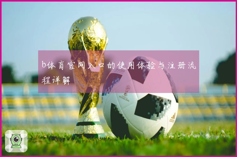b体育官网入口的使用体验与注册流程详解